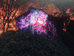 -杭州黄龙洞