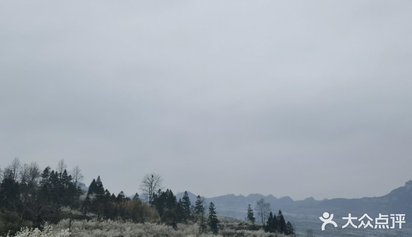 清镇市熊老五兄弟烤鱼