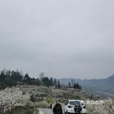 清镇市熊老五兄弟烤鱼