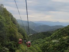 -王顺山国家森林公园