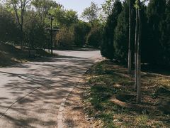 -永定河休闲森林公园