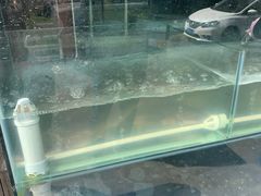 -喜乐堂(新华西路店)