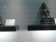 -紫竹院公园冰场