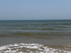 -日照海滨国家森林公园