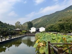 -荷塘味道(水长城店)