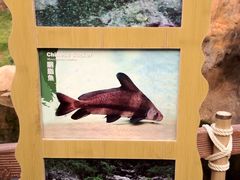 -香港海洋公园