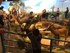 -陕西自然博物馆