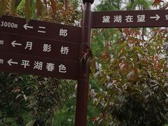 -重庆彩云湖湿地公园
