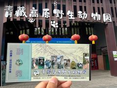 -青藏高原野生动物园