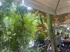 -龙井壹号·茶缘山景宴(龙井村店)