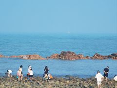 -小麦岛公园