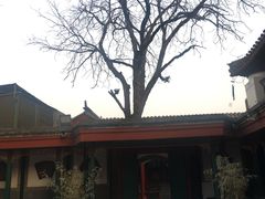 -北京湖广会馆