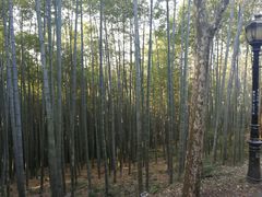-潜山国家森林公园