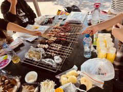 -春花秋色城市公园