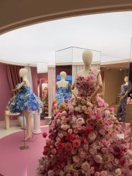 -SALON DE VANHADA