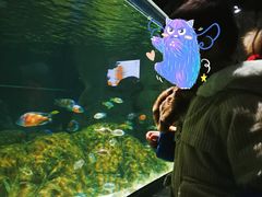 -江和美海洋公园