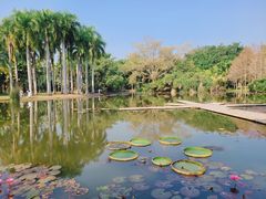 -中国科学院西双版纳热带植物园