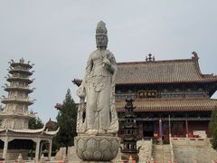 -大槐树寻根祭祖园