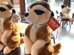 -ZOO COFFEE动物园咖啡(望京锐创店)