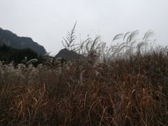 -石砭峪水库