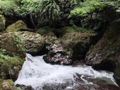 -龙苍沟森林公园