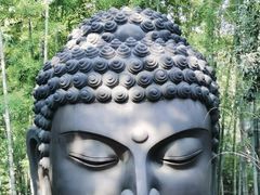 -杭州植物园
