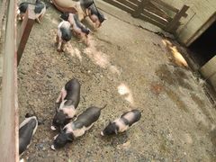 -昆山城市生态森林公园