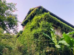 -解香楼(八盘岭路店)