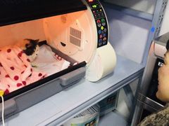 -丹景宠物医院·全科·老年病·牙科(武昌诊疗中心)