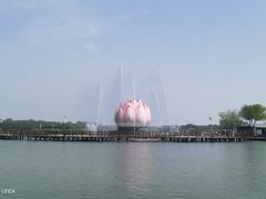 -白洋淀景区