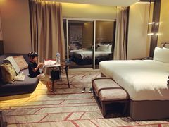 -新加坡瑞士史丹福酒店