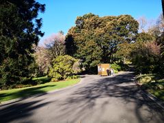 -墨尔本皇家植物园