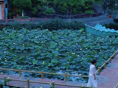 -广州莲花山旅游区