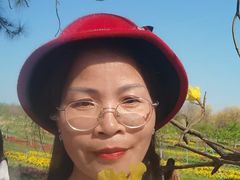 -天适樱花悠乐园