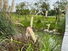 -中国天府农业博览园