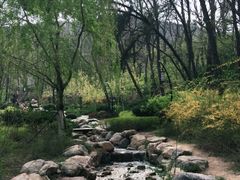 -大连植物园