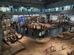 -自贡恐龙博物馆