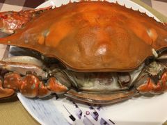 -红星渔村(将军石店)