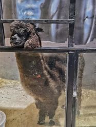 -酷嗒动物文化乐园(cutezoo西溪乐天城店)