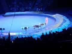 -珠海横琴长隆《卡卡虎奇遇记》