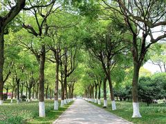 -上海鲜花港