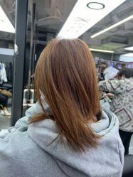 -藤野造型