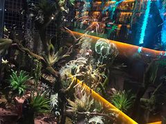 景观位-离岸江景音乐酒馆