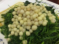 鸡头米-吴门人家·苏宴宫廷菜(拙政园店)