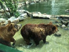 -北京野生动物园