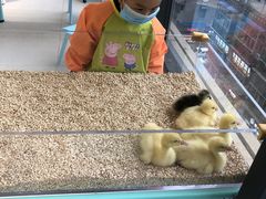 -怪兽屋·羊驼·猫咖·狗咖(俊华广场店)