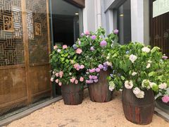-龙吟九品(青龙山庄店)
