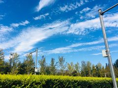 -中关村生命科学园