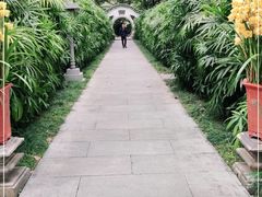 -广州兰圃
