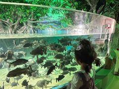 -福州罗源湾海洋世界旅游区